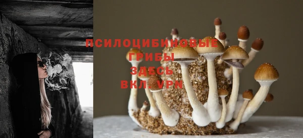 кокс Дмитриев