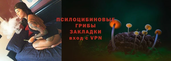 индика Лиски