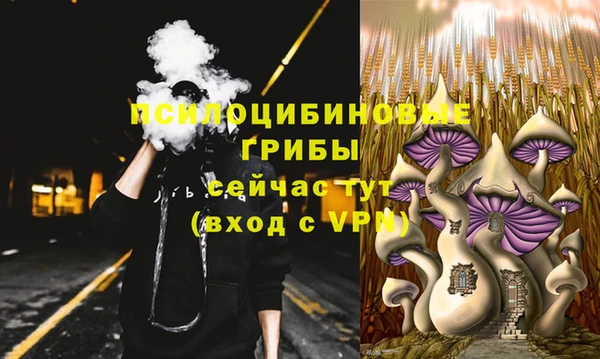 прущий лед Дмитров