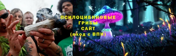 прущий лед Дмитров